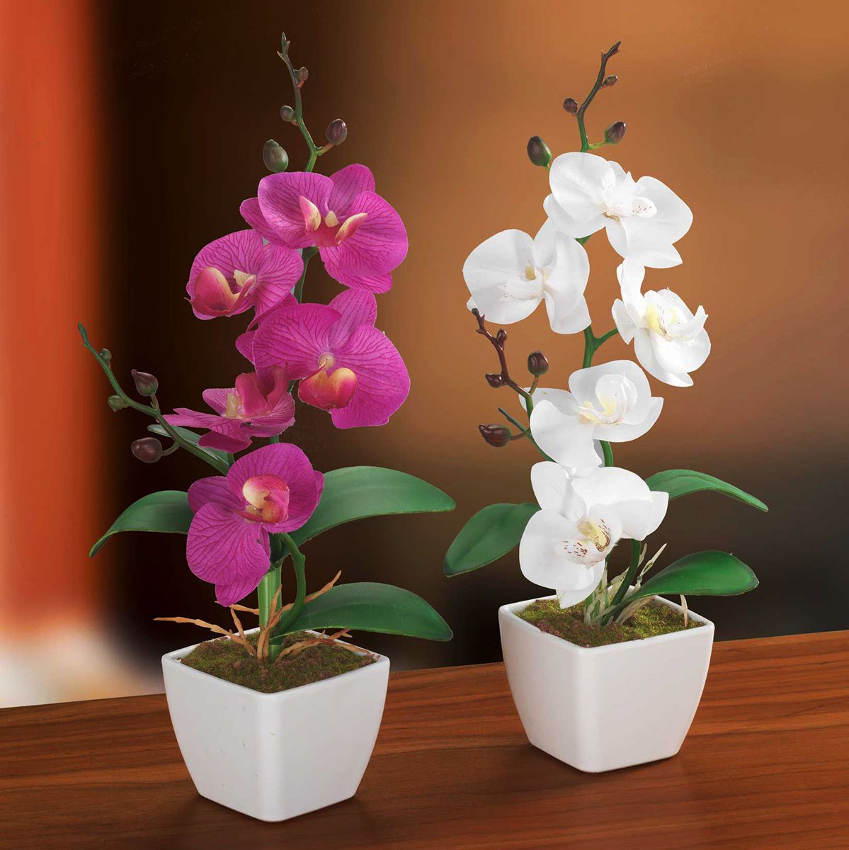 Dekorační orchidej, sada 2 ks - Velký Košík