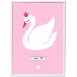 Plakát - Swan 50x70 cm