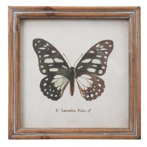 Obraz Clayre & Eef Butterfly, 18 x 18 cm - Bonami.cz