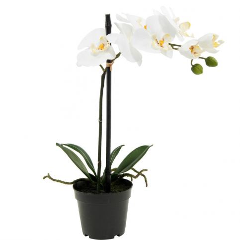 FLORISTA Orchideje 39 cm - krémová - Beliani.cz