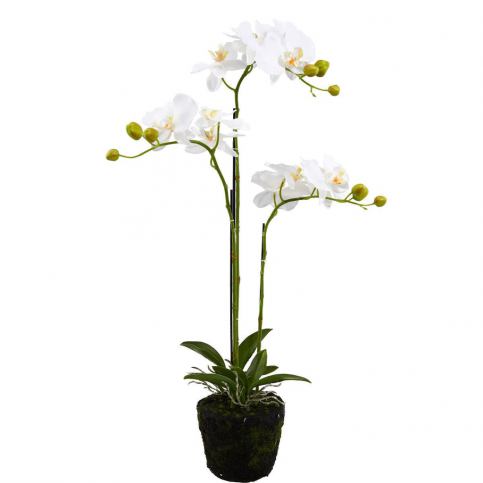FLORISTA Orchideje 75 cm - krémová - Beliani.cz