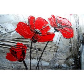 Obraz s červenými květy - OZ