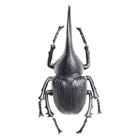Nástěnná dekorace Herkules Beetle Matt Black - KARE