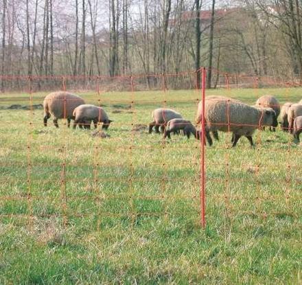 Elektrické ohradníky | Síť ohradníku pro ovce a kozy 108cm, 14 kolíků, 50m, dvojitý hrot - Horse-trade.cz