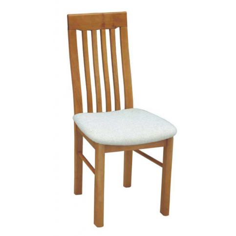 Jídelní židle LEON II - DAKA nábytek