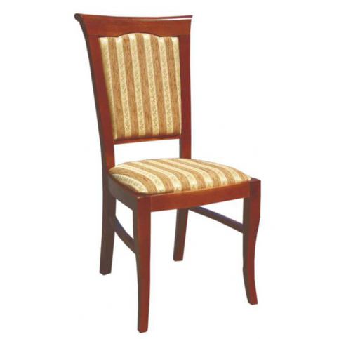 Jídelní židle TUREK - DAKA nábytek