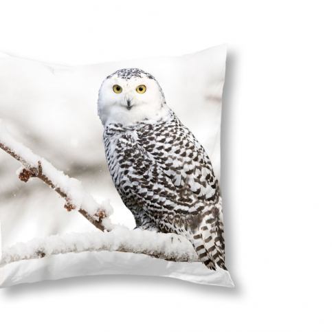 Povlak na polštář Muller Textiels Snowy Owl, 50 x 50 cm - Bonami.cz