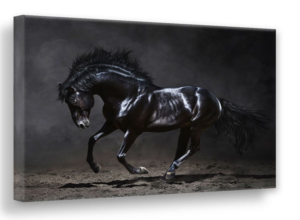 Obraz Styler Canvas Silver Uno Horse, 85 x 113 cm - GLIX DECO s.r.o.