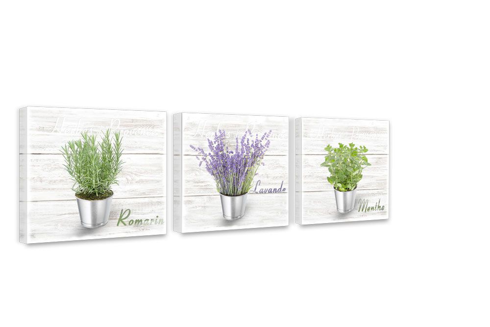 Styler Obraz na plátně - Variety of herbs 3x 27x27 cm - GLIX DECO s.r.o.
