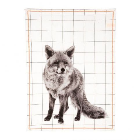 Kuchyňská utěrka Grid Fox, 50x70 cm - Bonami.cz