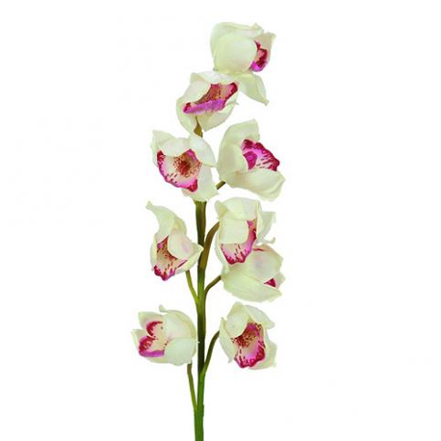 Větvička orchideje Europalms Orchidej větvička, bílo-růžová, 90cm - M DUM.cz