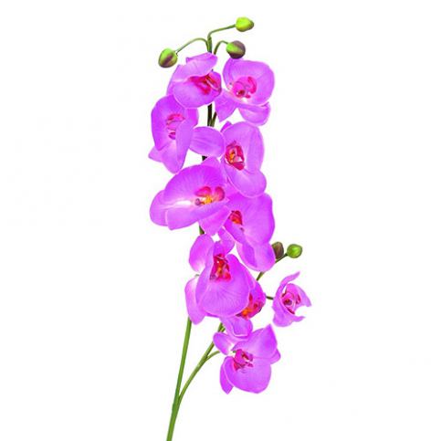 Větvička orchideje Europalms Orchidej větvička, fialová, 100cm - M DUM.cz