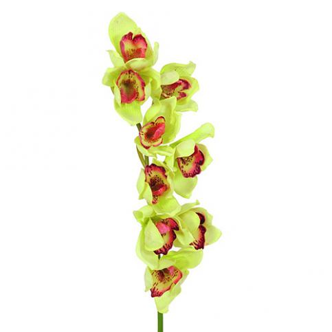 Větvička orchideje Europalms Orchidej větvička, zelená, 90cm - M DUM.cz