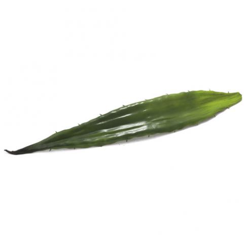 Aloe list Europalms Délka 60 cm/zelený - M DUM.cz