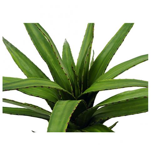 Aloe vera Europalms zelená, výška 50 cm - M DUM.cz
