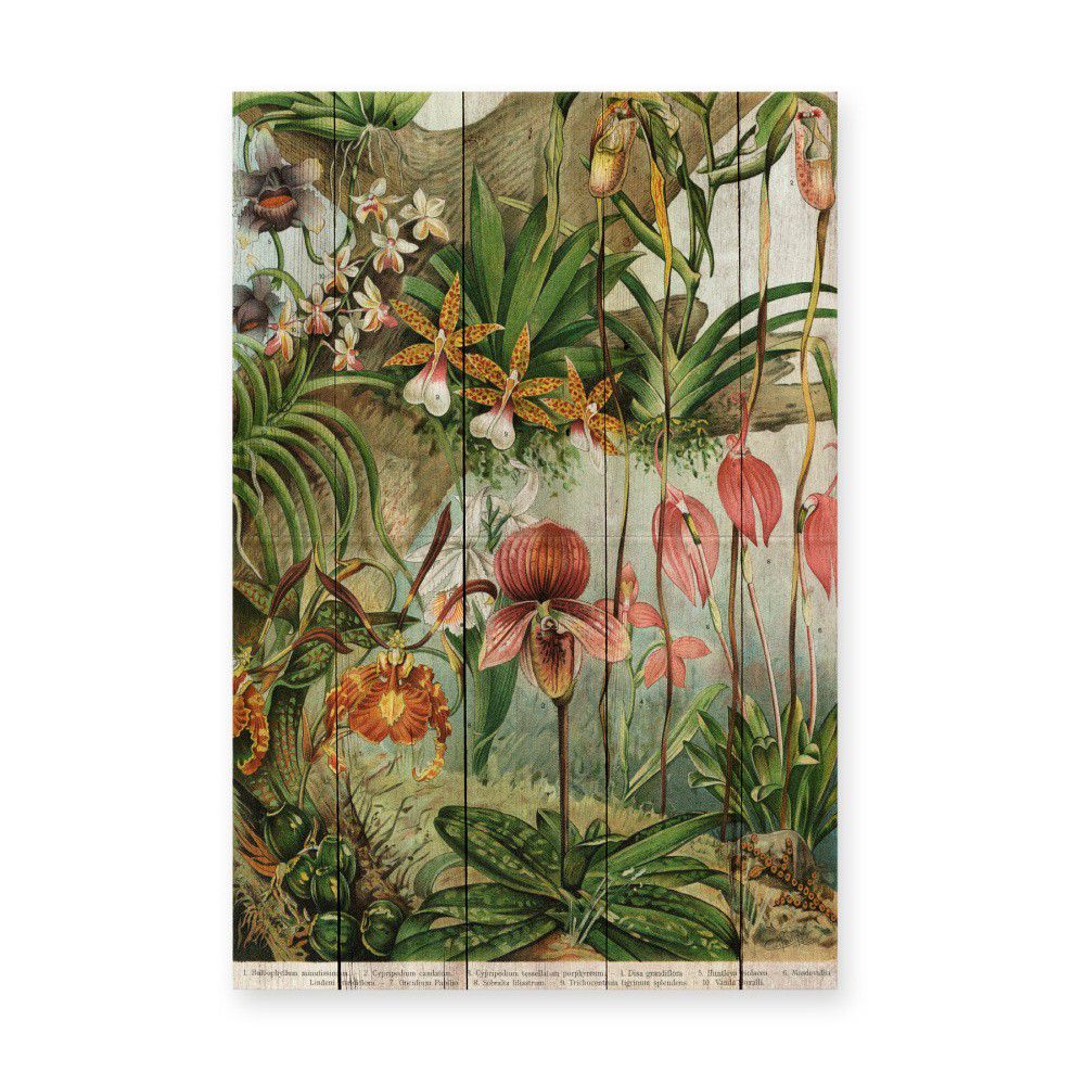 Nástěnná dekorace z borovicového dřeva Madre Selva Jungle Flowers, 60 x 40 cm - Bonami.cz