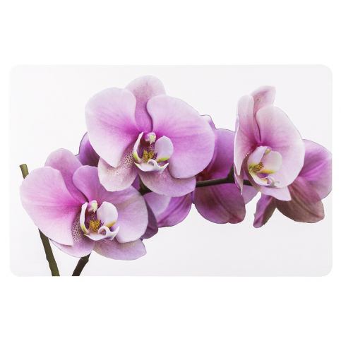 Koopman Prostírání Orchidej 43,5 x 28,5 cm, sada 4 ks - 4home.cz