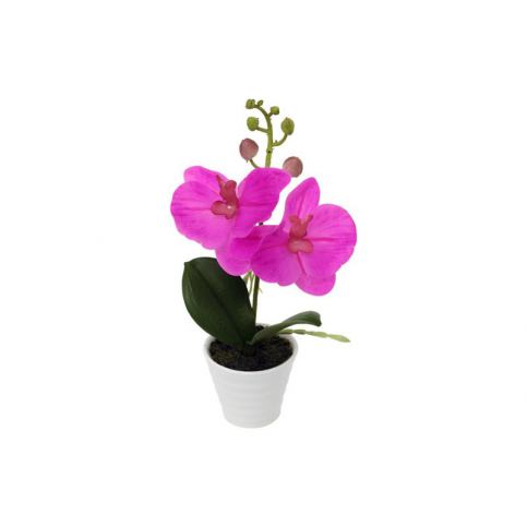 Orchidea v keramickém květináči, tm. růžová, ORC720902 - Favi.cz