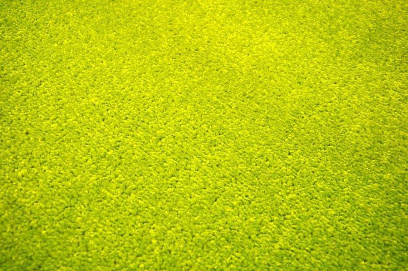 Vopi | Kusový koberec Eton zelený 80x150 cm, obdélník - Favi.cz