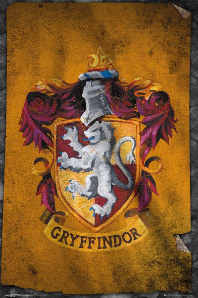 Plakát, Obraz - Harry Potter - Nebelvír, (61 x 91,5 cm) - Favi.cz