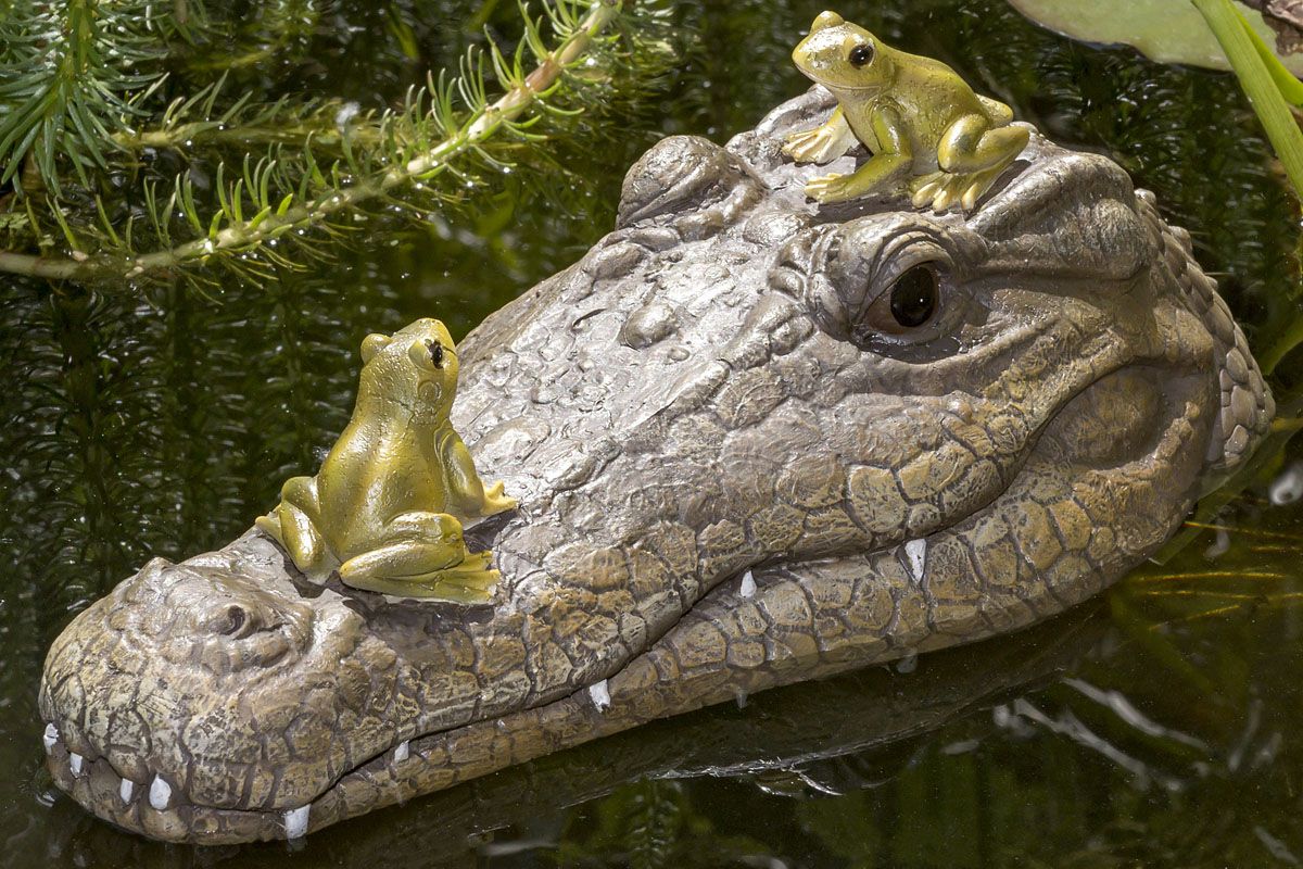 Vodní dekorace Krokodýl Ally - Velký Košík