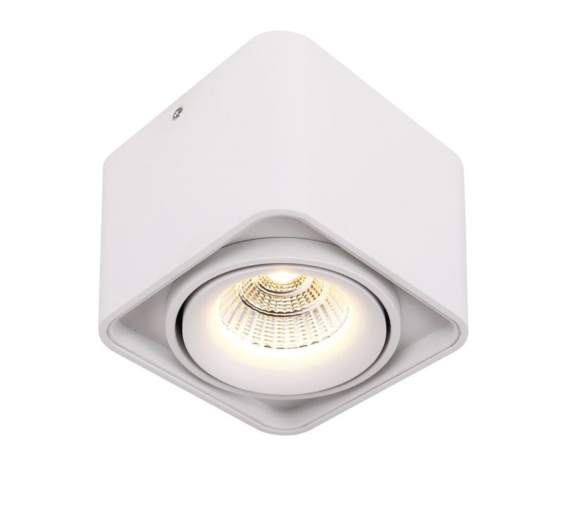 Dobac BATUMI SINGLE HEAD stropní LED svítidlo XD2091-WH - Osvětlení.com