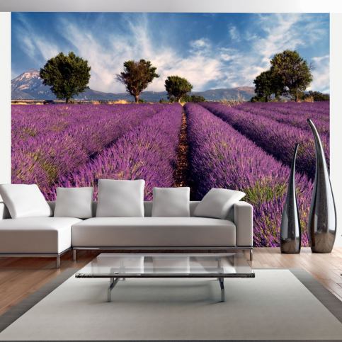 Fototapeta - Lavender field in Provence, France - 200x154 - Beliani.cz