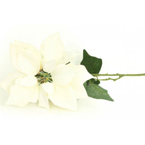 Vánoční růže, poinsécie , umělá květina , bílá zasněžená VK-1232 Autronic - DEKORHOME.CZ