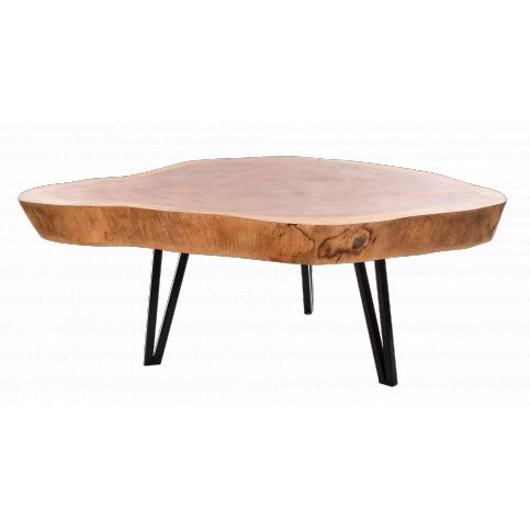 Kávový stolek Natural wood, 145x66x35 cm - Alomi Design
