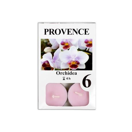 Provence SVÍČKA ČAJOVÁ ORCHIDEA, 6KS - Kitos.cz