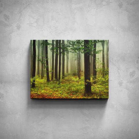 Obraz - Listnatý les - PopyDesign - Popydesign