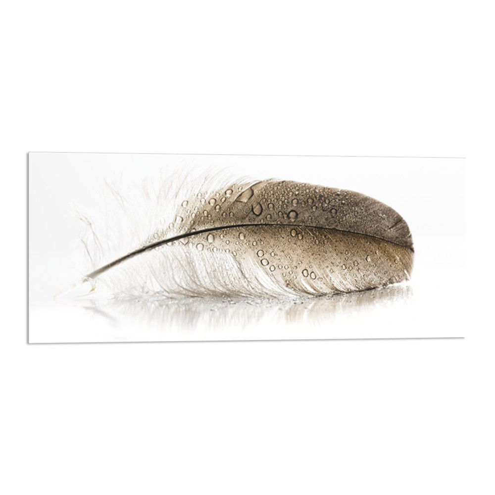 Obraz Styler Glasspik Wings, 50 x 125 cm - Bonami.cz