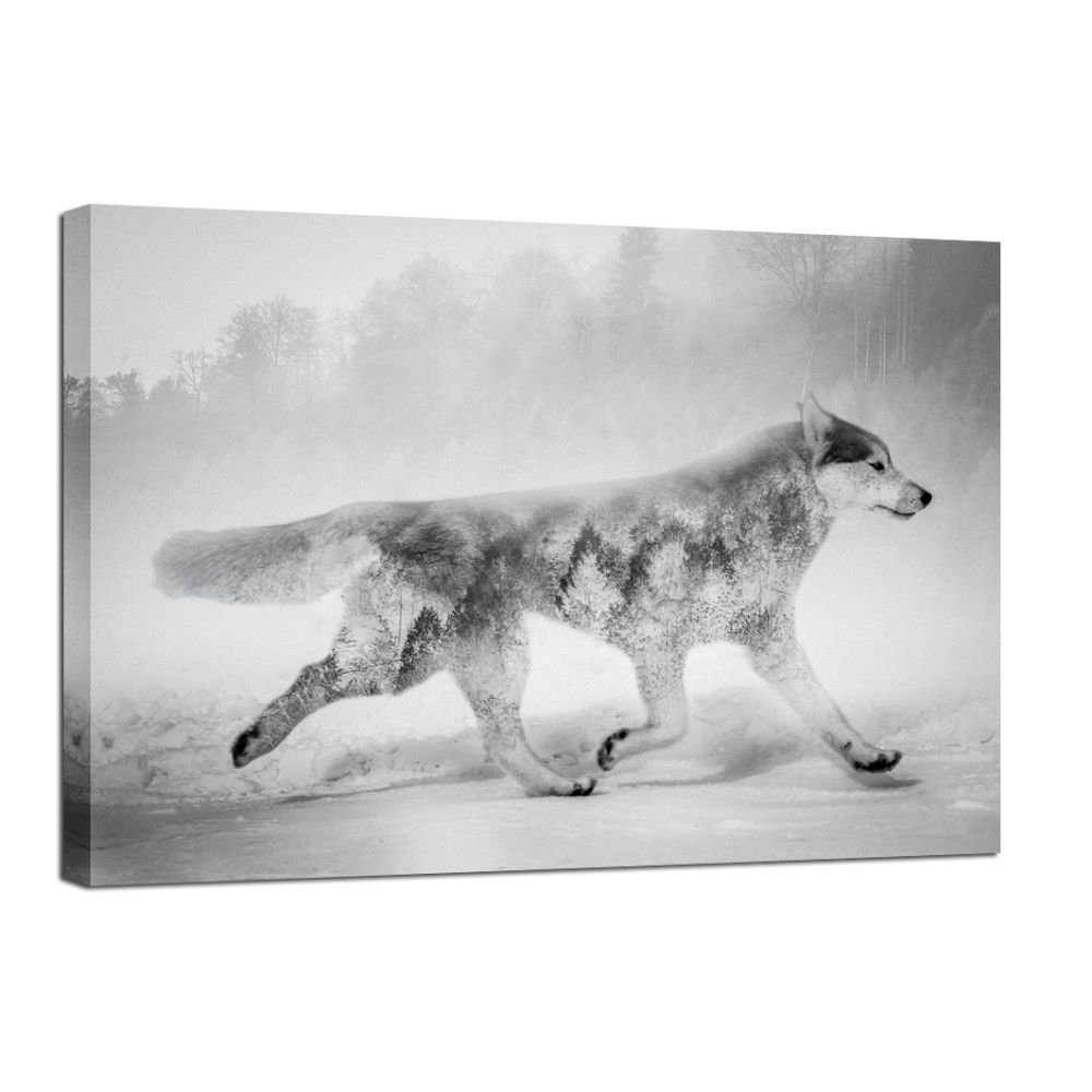 Obraz Styler Canvas Nordic Wolf, 75 x 100 cm - GLIX DECO s.r.o.