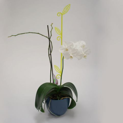 Tyčka k orchideji list, průsvitná zelená, 2 ks, Plastia  - 4home.cz