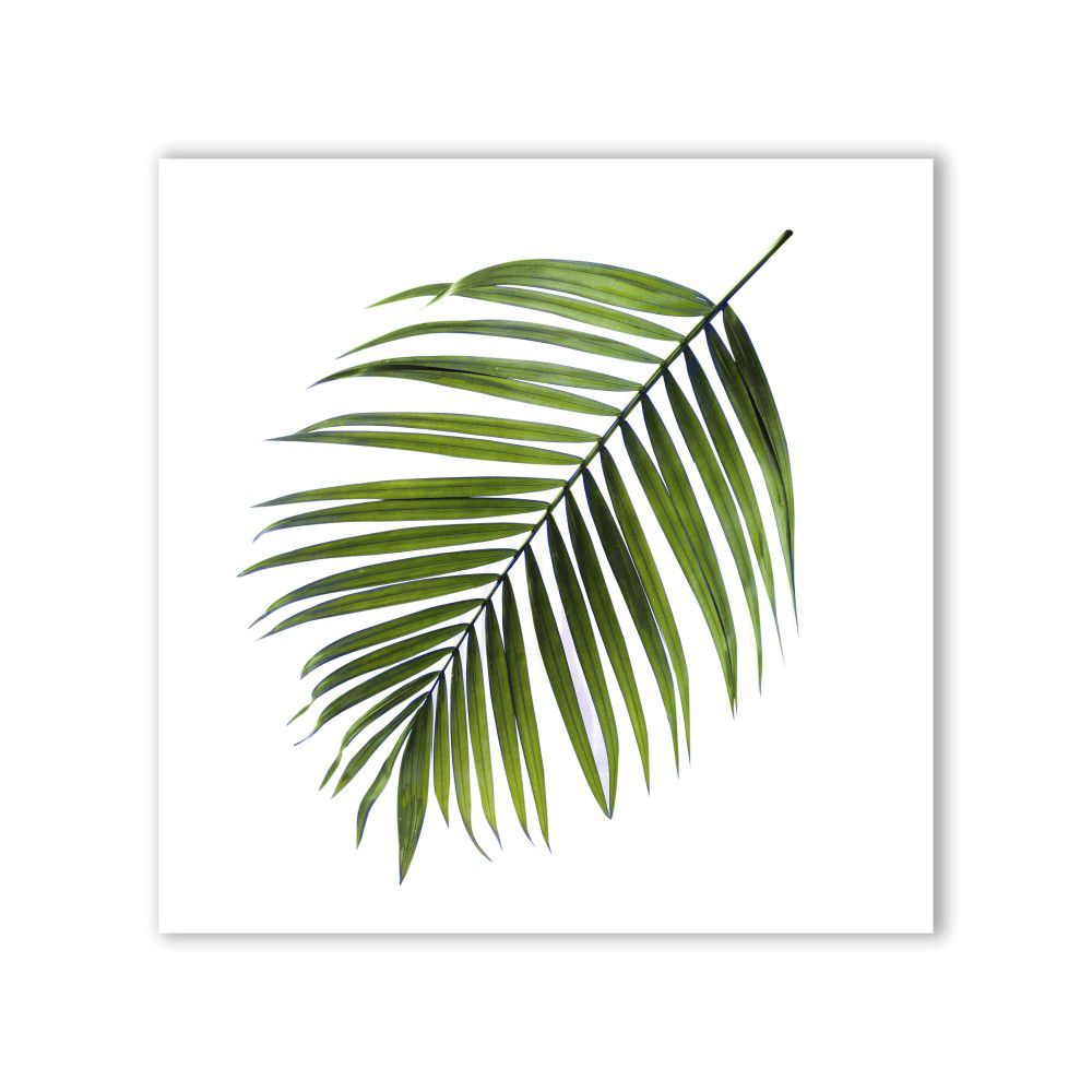 Obraz Styler Canvas Greenery Black Palm, 32 x 32 cm - GLIX DECO s.r.o.