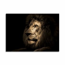 Skleněný obraz 100x70 cm Lion - Styler Bonami.cz