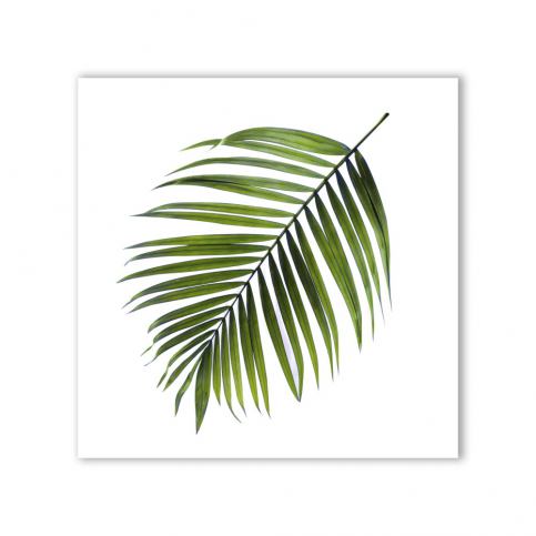 Obraz Styler Canvas Greenery Black Palm, 32 x 32 cm GLIX DECO s.r.o.