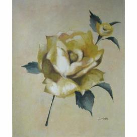Obraz - Bílá růže 