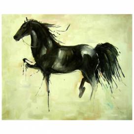 Obraz - Černý kůň