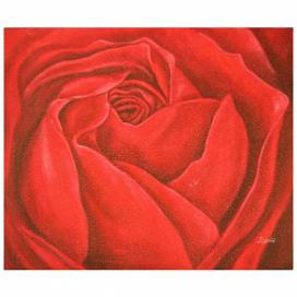 Obraz - Detail rozvité růže FORLIVING