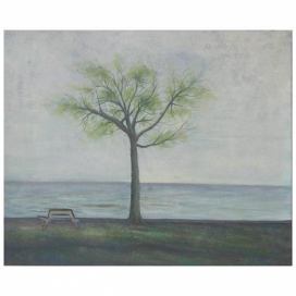 Obraz - Samotný strom