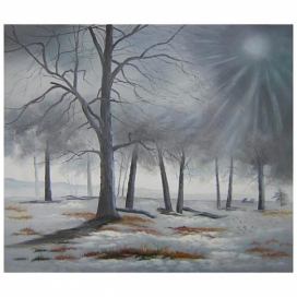 Obraz - Zimní les