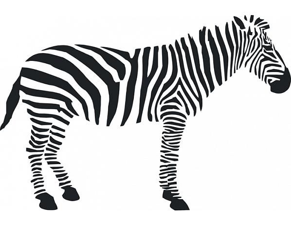Samolepící dekorace Zebra - FORLIVING