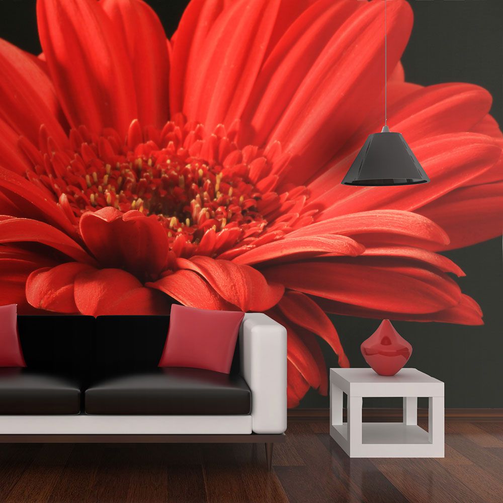 Fototapeta Bimago - Red gerbera flower + lepidlo zdarma 250x193 cm - GLIX DECO s.r.o.