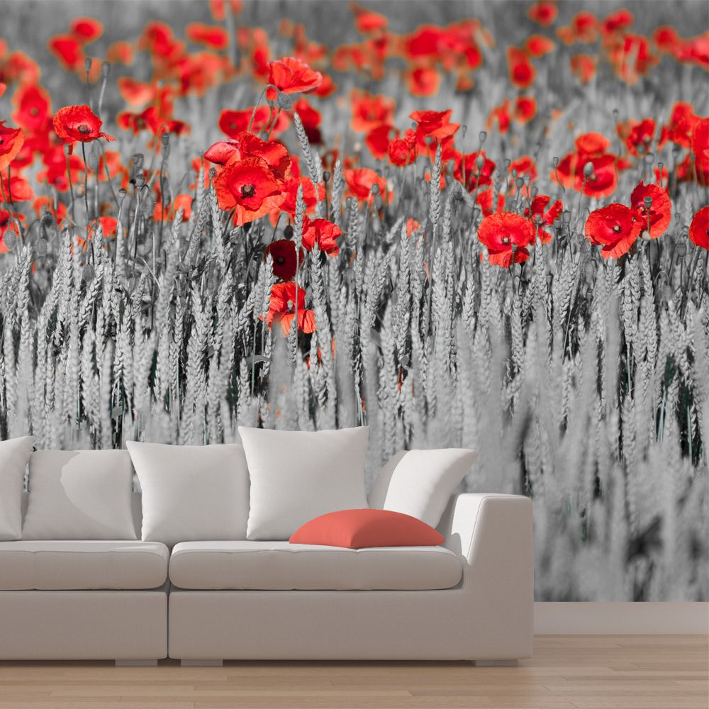 Fototapeta Bimago - Red poppies on black and white background + lepidlo zdarma 250x193 cm - GLIX DECO s.r.o.