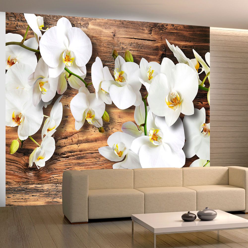 Fototapeta Bimago - Snow-white orchids + lepidlo zdarma 250x193 cm - GLIX DECO s.r.o.