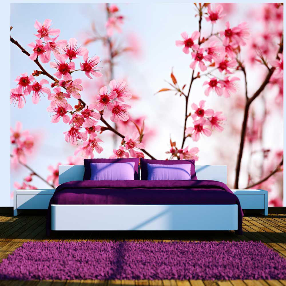 Fototapeta Bimago - Symbol of Japan - sakura flowers + lepidlo zdarma 250x193 cm - GLIX DECO s.r.o.