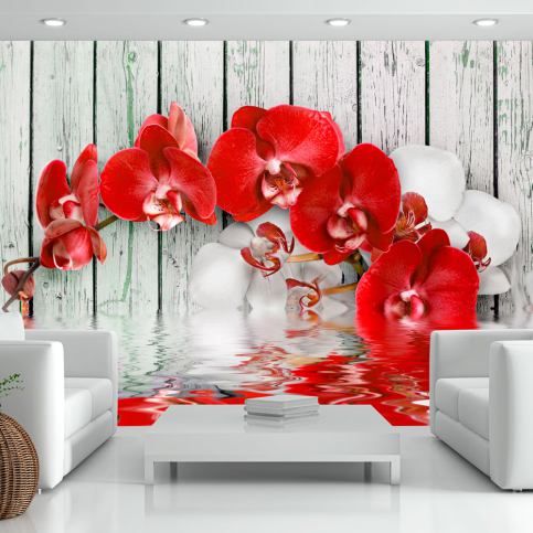 Fototapeta Bimago - Ruby orchid + lepidlo zdarma 100x70 cm - GLIX DECO s.r.o.