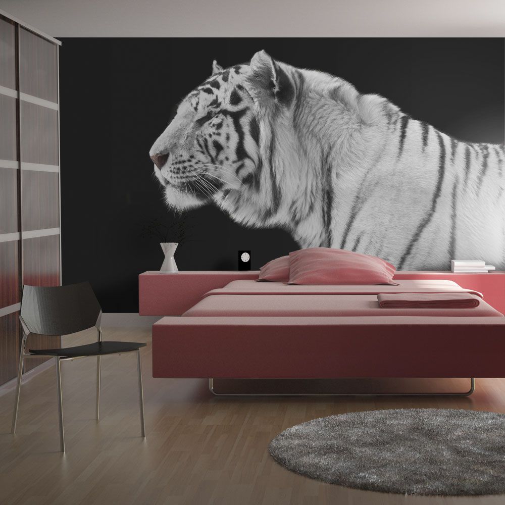 Fototapeta Bimago - White tiger + lepidlo zdarma 250x193 cm - GLIX DECO s.r.o.