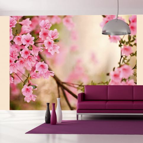 Fototapeta - Pink azalea - 350x270 - 4wall.cz